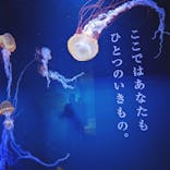 すみだ水族館に投稿された画像（2020/12/13）