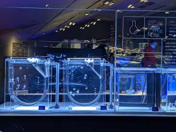 すみだ水族館に投稿された画像（2020/12/13）