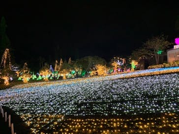 美らヤシパークオキナワ・東南植物楽園に投稿された画像（2020/12/13）