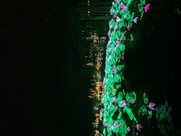 美らヤシパークオキナワ・東南植物楽園に投稿された画像（2020/12/13）