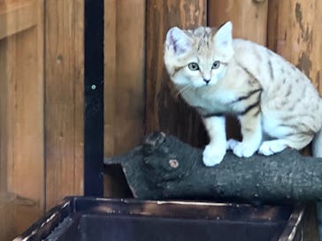 神戸どうぶつ王国に投稿された画像（2020/12/13）