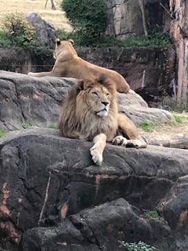 天王寺動物園に投稿された画像（2020/12/13）