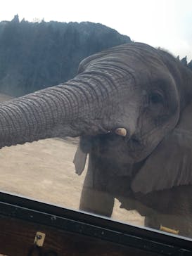 秋吉台自然動物公園 サファリランドに投稿された画像（2020/12/13）