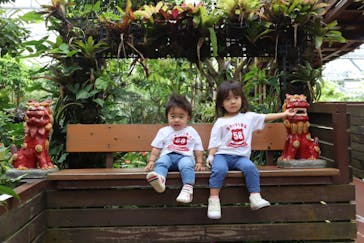 ナゴパイナップルパークに投稿された画像（2020/12/13）