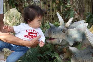 ナゴパイナップルパークに投稿された画像（2020/12/13）