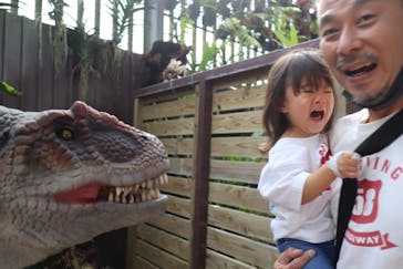 ナゴパイナップルパークに投稿された画像（2020/12/13）