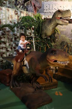 ナゴパイナップルパークに投稿された画像（2020/12/13）