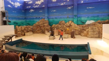 鳥羽水族館に投稿された画像（2020/12/13）