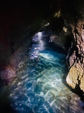 自然派企画に投稿された画像（2020/12/12）