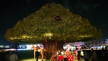 東京メガイルミに投稿された画像（2020/12/13）