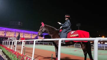 東京メガイルミに投稿された画像（2020/12/13）