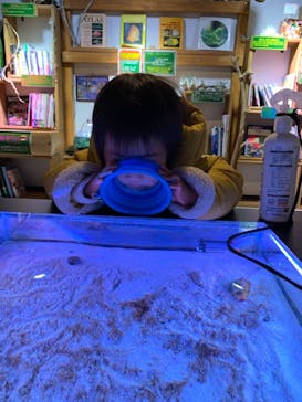 ゼロ距離水族館 伊勢シーパラダイスに投稿された画像（2020/12/13）