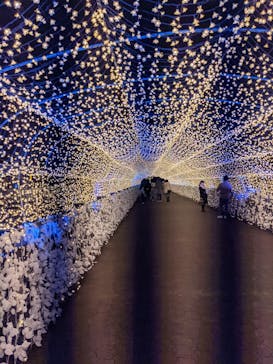 東京メガイルミに投稿された画像（2020/12/13）