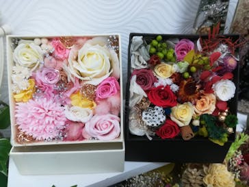 ずこうしつ〜sugamo〜に投稿された画像（2020/12/13）