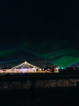 東京メガイルミに投稿された画像（2020/12/13）