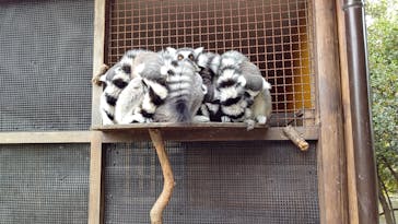 神戸どうぶつ王国に投稿された画像（2020/12/13）