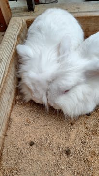 神戸どうぶつ王国に投稿された画像（2020/12/13）