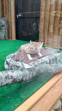 神戸どうぶつ王国に投稿された画像（2020/12/13）