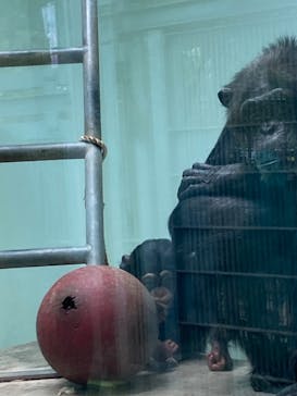 沖縄こどもの国に投稿された画像（2020/12/13）