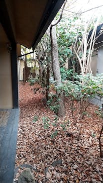 アソビュー株式会社　149986	に投稿された画像（2020/12/13）