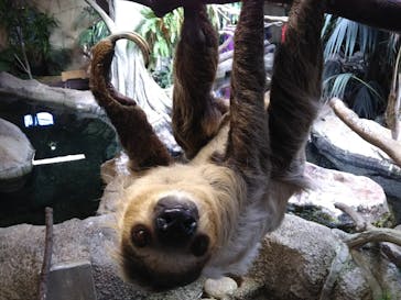 那須どうぶつ王国に投稿された画像（2020/12/13）