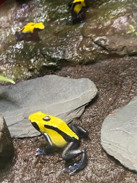 サンシャイン水族館に投稿された画像（2020/12/13）