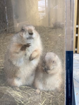 横浜・八景島シーパラダイスに投稿された画像（2020/12/13）