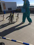 仙台うみの杜水族館に投稿された画像（2020/12/12）