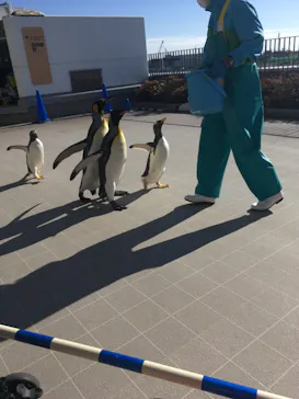 仙台うみの杜水族館に投稿された画像（2020/12/12）