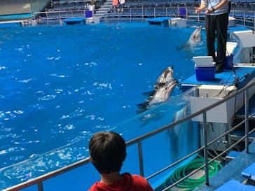 マクセル アクアパーク品川に投稿された画像（2020/12/13）