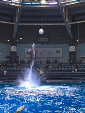 マクセル アクアパーク品川に投稿された画像（2020/12/13）