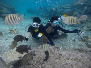 武藤潜水に投稿された画像（2020/12/13）