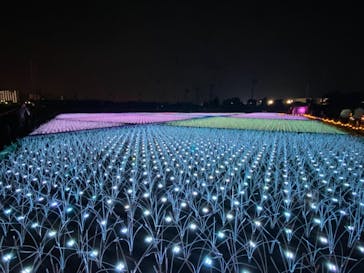 東京メガイルミに投稿された画像（2020/12/13）