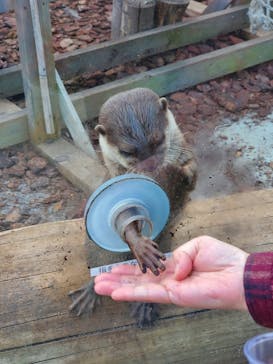 横浜・八景島シーパラダイスに投稿された画像（2020/12/13）