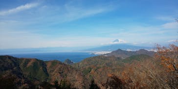 伊豆パノラマパークに投稿された画像（2020/12/13）