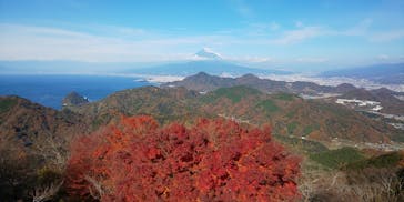 伊豆パノラマパークに投稿された画像（2020/12/13）