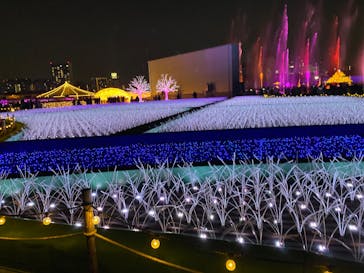 東京メガイルミに投稿された画像（2020/12/13）