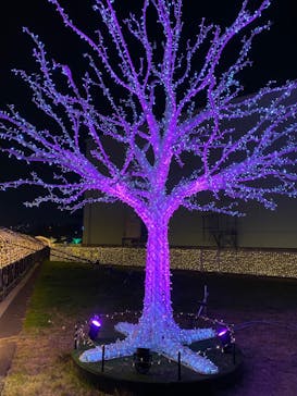 東京メガイルミに投稿された画像（2020/12/13）