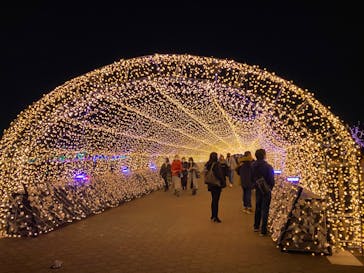 東京メガイルミに投稿された画像（2020/12/13）