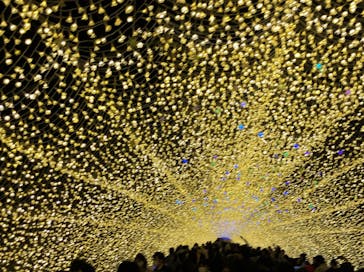 なばなの里に投稿された画像（2020/12/13）