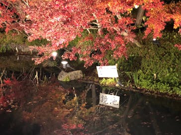 なばなの里に投稿された画像（2020/12/13）