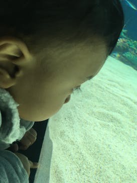 サンシャイン水族館に投稿された画像（2020/12/13）