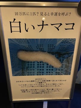 京都水族館に投稿された画像（2020/12/13）