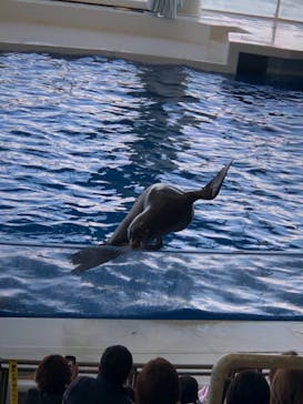 アクアワールド茨城県大洗水族館に投稿された画像（2020/12/13）