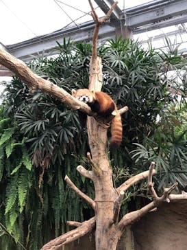 神戸どうぶつ王国に投稿された画像（2020/12/13）