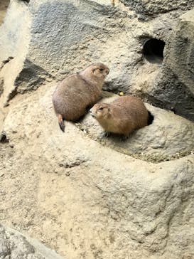 神戸どうぶつ王国に投稿された画像（2020/12/13）