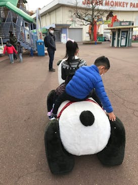 日本モンキーパークに投稿された画像（2020/12/13）