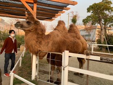 神戸どうぶつ王国に投稿された画像（2020/12/13）