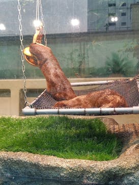 サンシャイン水族館に投稿された画像（2020/12/13）