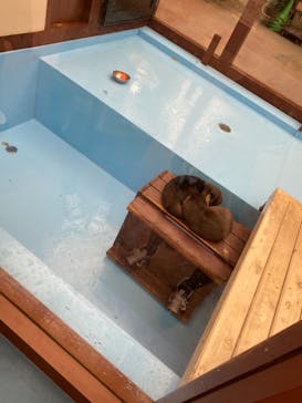 ゼロ距離水族館 伊勢シーパラダイスに投稿された画像（2020/12/13）